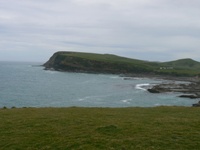 Near South Island's most southern place, Slope Point