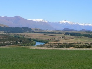 Fields near Wanaka