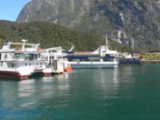 Cruise boats at Milford Sound